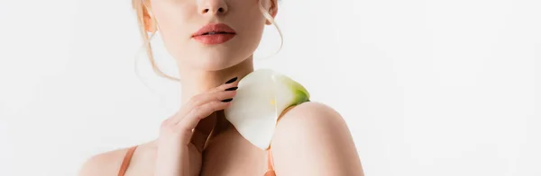Oříznutý Pohled Elegantní Krásné Blondýny Drží Květ Calla Rameni Izolované — Stock fotografie