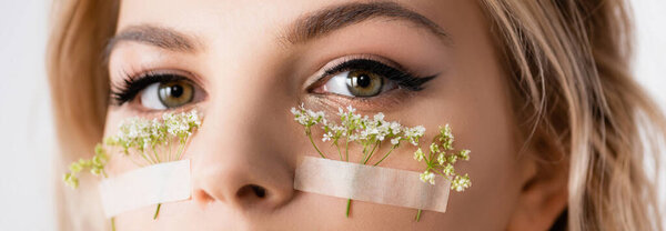cropped view of beautiful blonde woman with wildflowers under eyes isolated on white, panoramic shot