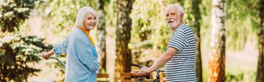 Panoramic crop of senior couple smiling at camera near bicycles in park during summer clipart