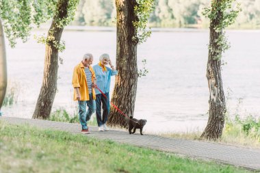 Yaz boyunca parkta kocası ve köpeğinin yanında yürüyen gülümseyen yaşlı kadının seçici odak noktası. 