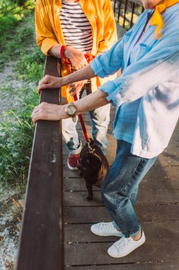 Parktaki köprüde kırbaçlanmış köpekli yaşlı çiftin görüntüsü. 