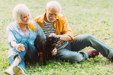 Parktaki çimlerde köpek okşayan yaşlı çiftin seçici odak noktası 