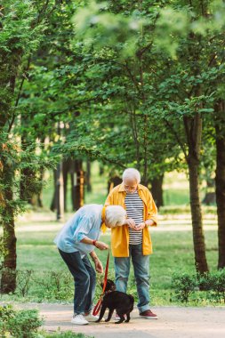 Yaşlı çiftin yaz aylarında parkta köpekle oynamalarının seçici odak noktası. 