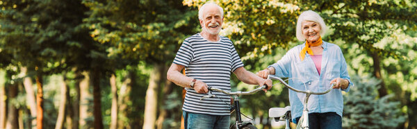 Panoramic shot of smiling elderly couple with bikes looking at camera in park 