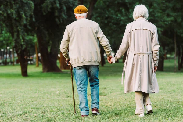 Vista Trasera Pareja Ancianos Caminando Prado Herboso Parque — Foto de Stock