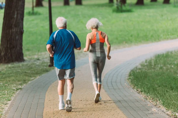 Back view of elderly couple jogging on path in park
