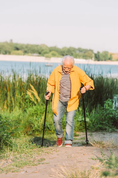 Senioren Mit Gehstöcken Auf Gehweg Park Gezielt Visier — Stockfoto