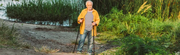 Panoramic Crop Elderly Man Holding Walking Sticks Path Park Summer — Stock Photo, Image