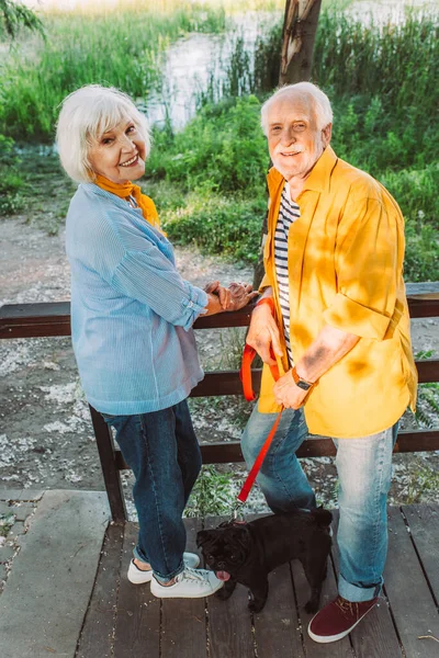 Smiling Senior Couple Pug Dog Leash Looking Camera Park — Stock Photo, Image