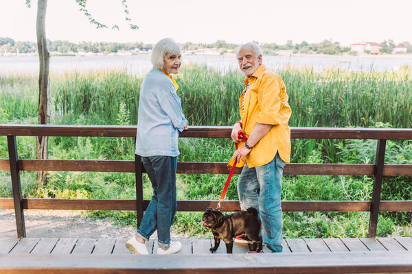 Selective focus of smiling elderly couple with pug dog on leash looking at camera on bridge in park 