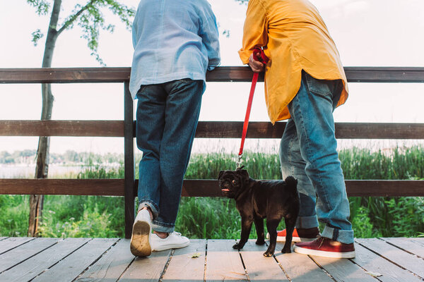 Cropped view of pug dog looking at camera near elderly couple standing on bridge in park 