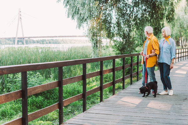 Senior couple with pug dog on leash walking on wooden bridge in park 