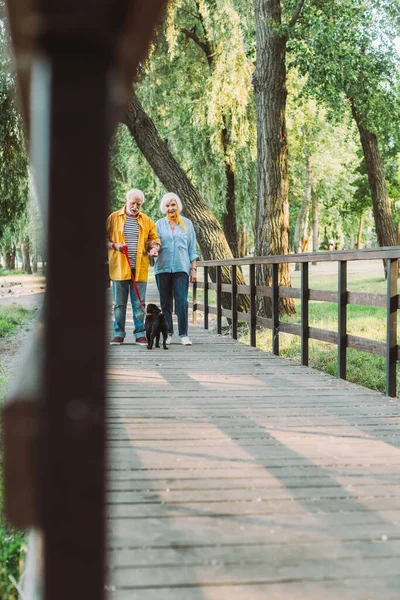 Selektivt Fokus Positiv Senior Par Promenader Med Mops Hund Koppel — Stockfoto