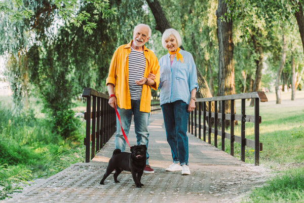 Selective focus of smiling elderly couple with pug dog on leash walking in park during summer 