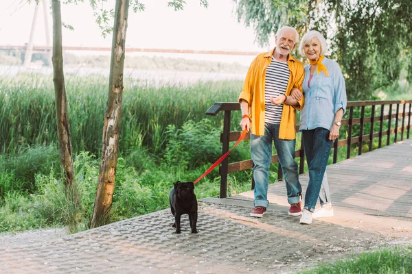一对快乐的老夫妇在公园牵着狗散步时 对着相机笑着 — 图库照片