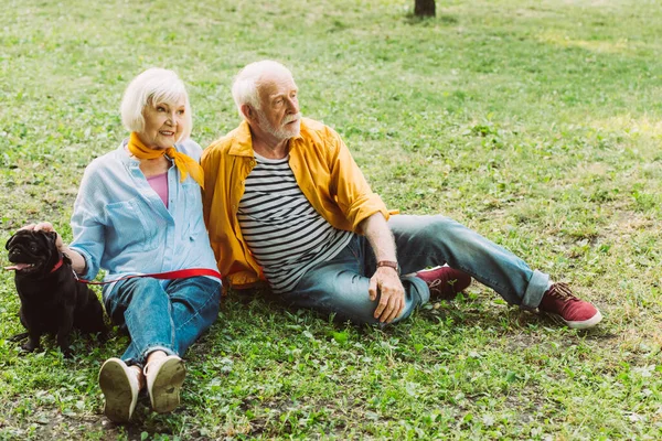 Selective Focus Smiling Senior Woman Petting Pug Dog Husband Grass — Stock Photo, Image