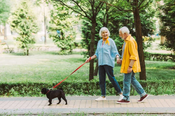 Sorrindo Casal Idosos Mãos Dadas Enquanto Passeia Cachorro Trela Parque — Fotografia de Stock