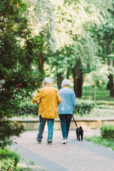 Seniorenpaar Mit Mops Hund Der Leine Spaziert Auf Weg Park — Stockfoto