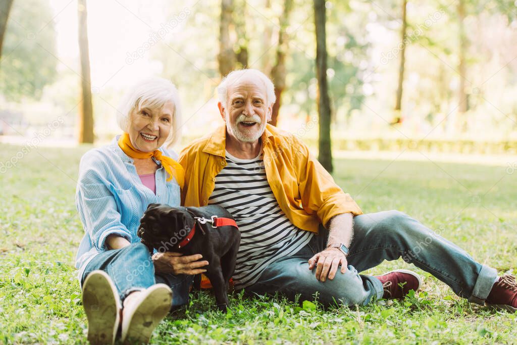 Selective focus of smiling elderly couple with pug dog looking at camera on grass in park 