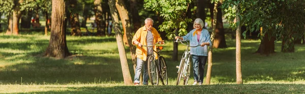 Imagem Horizontal Casal Sênior Sorridente Andando Com Bicicletas Grama Parque — Fotografia de Stock