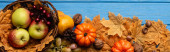 top view of autumnal harvest in basket and foliage on blue wooden background, panoramic shot