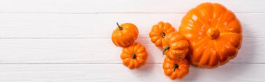 top view of decorative pumpkins on white wooden background, panoramic shot clipart
