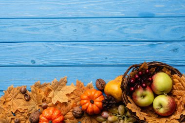 top view of autumnal harvest in basket and foliage on blue wooden background clipart