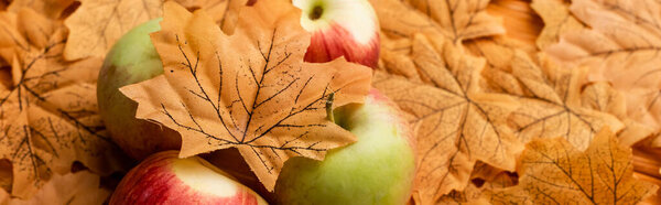 selective focus of ripe tasty apples and autumnal leaf, panoramic shot