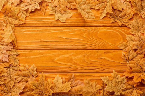 Top View Autumnal Foliage Arranged Frame Wooden Background — Stock Photo, Image