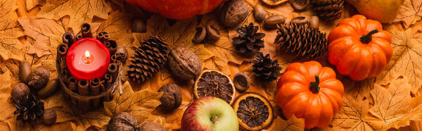 burning candle with pumpkins and autumnal decoration on golden foliage, panoramic shot