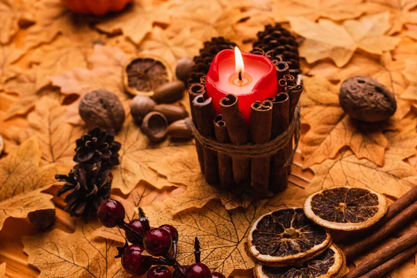 Selective Focus Burning Candle Autumnal Brown Decoration Golden Foliage — Stock Photo, Image