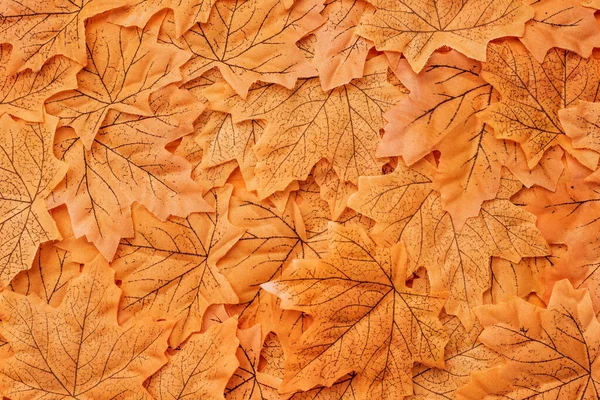 Top View Golden Autumnal Foliage Background — Stock Photo, Image