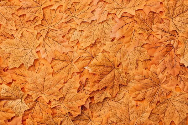 top view of golden autumnal foliage background