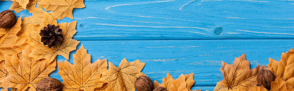 top view of autumnal foliage with nuts and cones on blue wooden background, panoramic shot