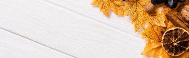 top view of autumnal decoration on white wooden background, panoramic shot clipart