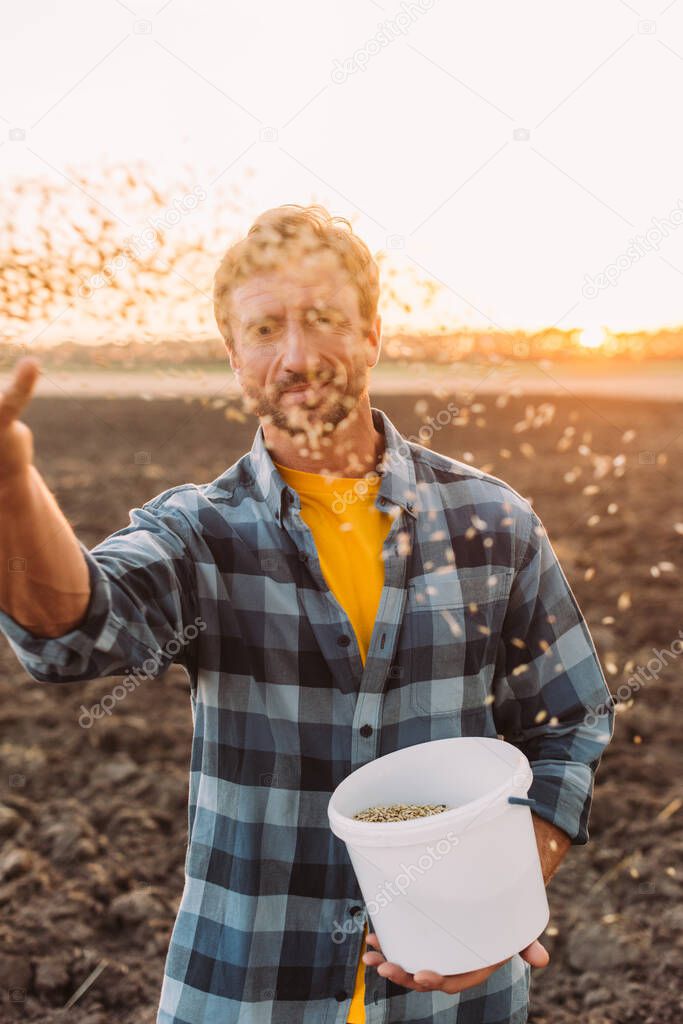 selective focus of farmer holding bucket while sowing cereals on field