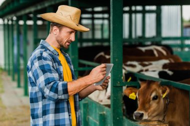 farmer in checkered shirt and straw hat using digital tablet near cowshed clipart