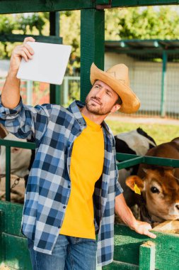 farmer in checkered plaid and straw hat taking selfie with cows on digital tablet clipart