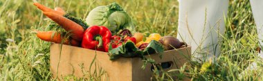 cropped view of farmer in rubber boots near wooden box with fresh vegetables, panoramic concept clipart
