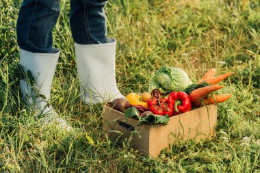 Lastik botlu çiftçinin taze sebzelerle kutunun yanında durduğu kısmi manzara