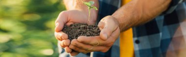 cropped view of farmer holding ground with young plant in cupped hands, website header clipart