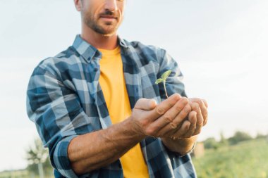 cropped view of farmer in plaid shirt holding green seedling in cupped hands against clear sky clipart