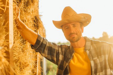 farmer in checkered shirt and straw hat looking at camera while leaning on bale of hay clipart