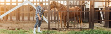 panoramic concept of rancher in plaid shirt and rubber boots touching brown horse in corral clipart