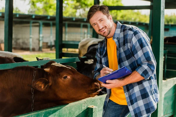 穿着格子衬衫的饲养员在奶牛旁边的剪贴板上写字时看着相机 — 图库照片