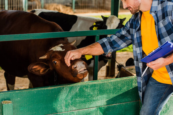cropped view of rancher with clipboard touching head of cow on farm