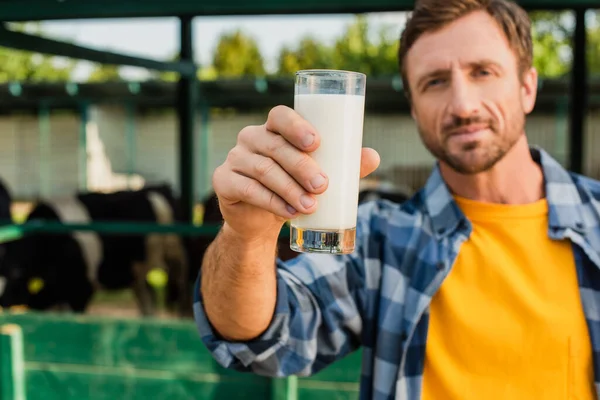 カメラに新鮮な牛乳のガラスを表示する再生シャツの農家の選択的な焦点 — ストック写真