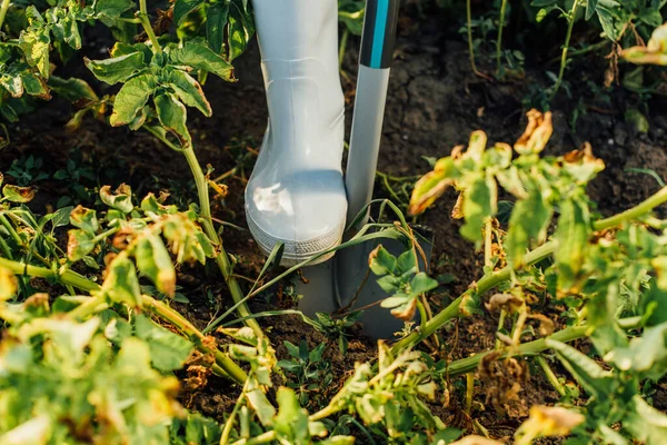 Částečný Pohled Farmáře Kopajícího Půdu Poli Lopatou — Stock fotografie