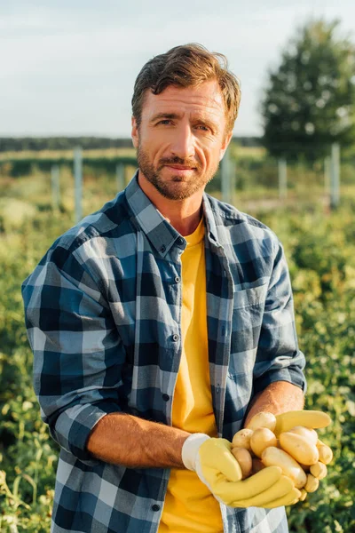 穿着格子衬衫的农民一边手拿着新鲜的有机土豆一边看着相机 — 图库照片