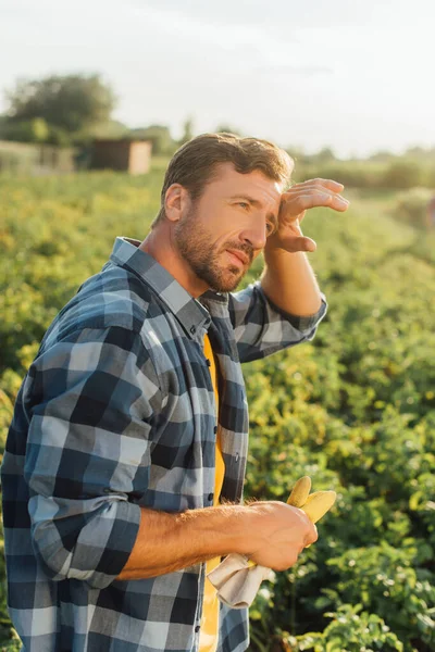 Tired Farmer Plaid Shirt Touching Forehead Looking Away While Standing — Stock Photo, Image